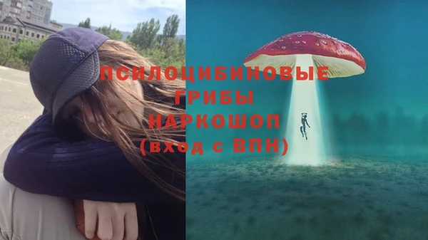 a pvp Сясьстрой