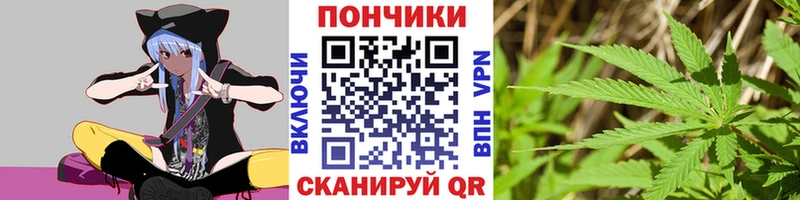 Купить где Юрьев-Польский Марихуана Bruce Banner